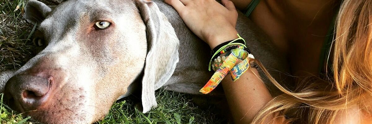 CriisBlanco22's profile banner image