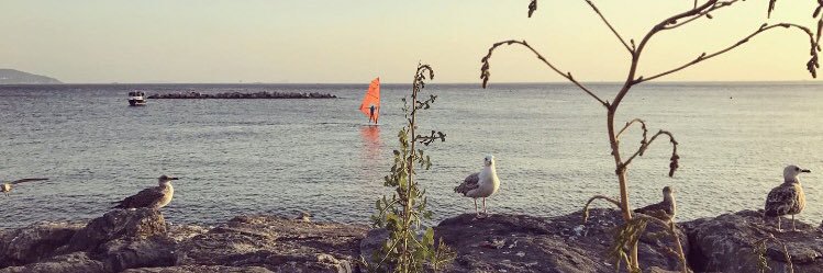 aydnrtrk's profile banner image