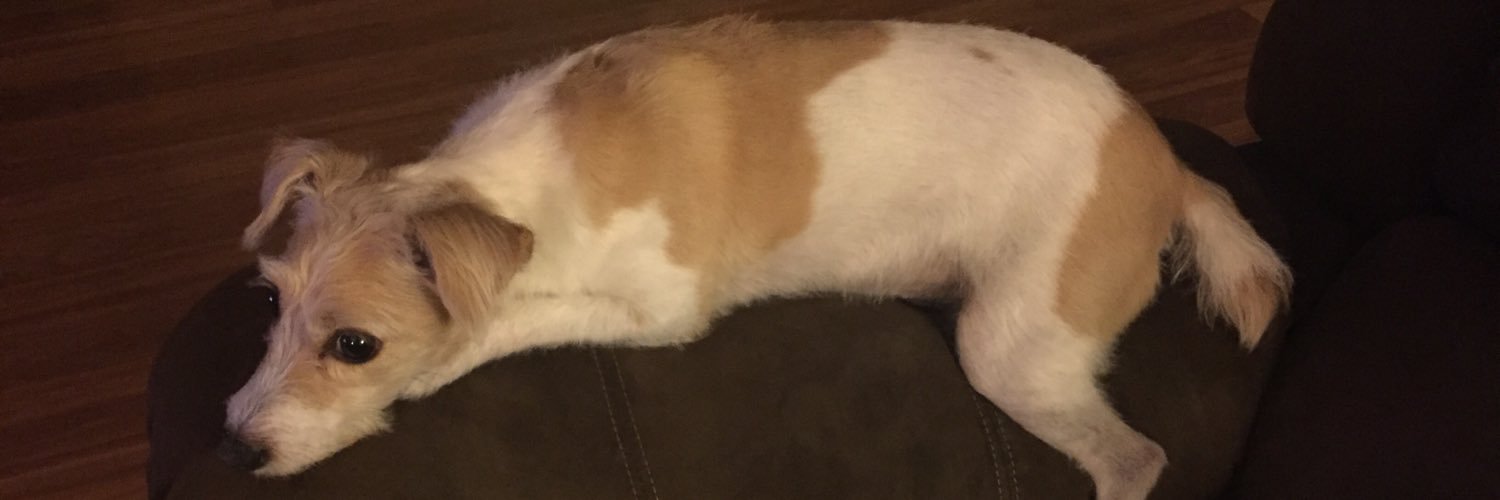 Tucsonlostpets's profile banner image