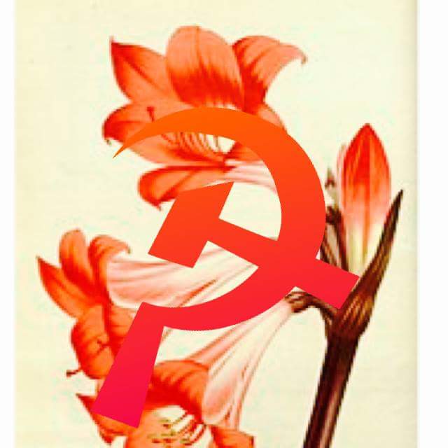 barms (boob arms) banner