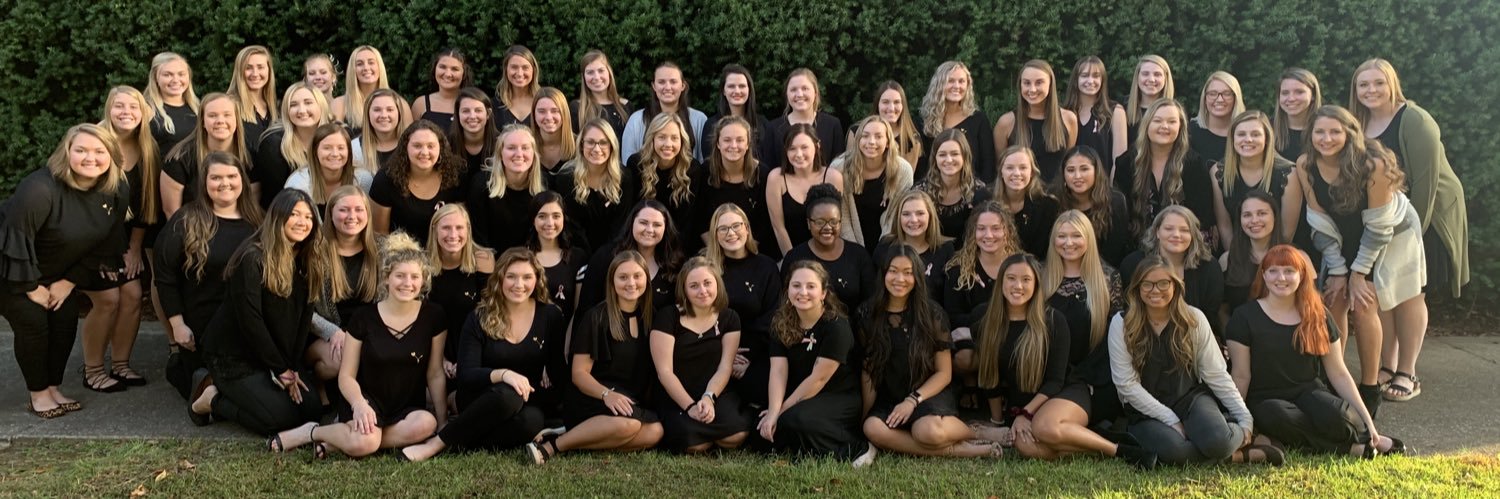 DELTA ZETA ☆ MSU banner