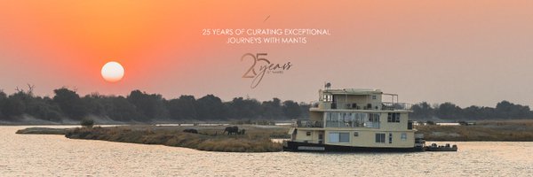 MantisGroup Profile Banner