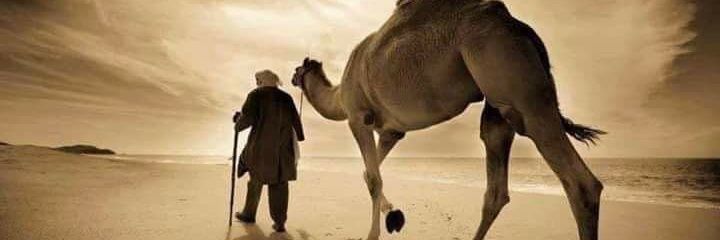 AlAlAlwed11's profile banner image