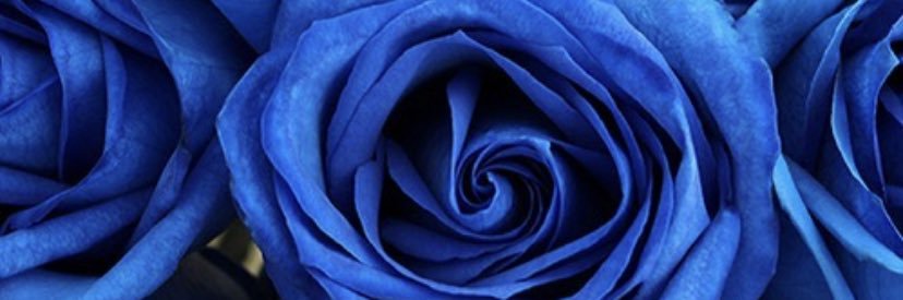 SlayKayy_'s profile banner image