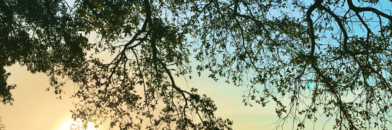 brandwich's profile banner image