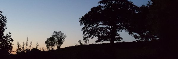 WonhamLou Profile Banner