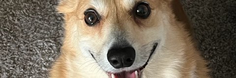 Ryder1948's profile banner image
