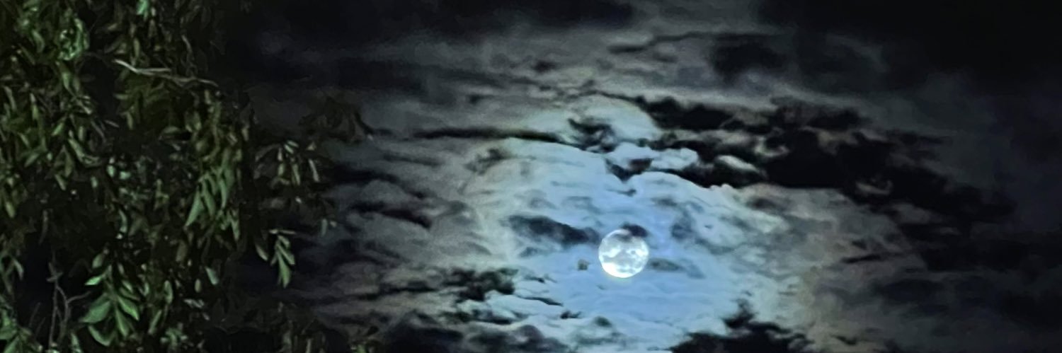 gbortizz's profile banner image