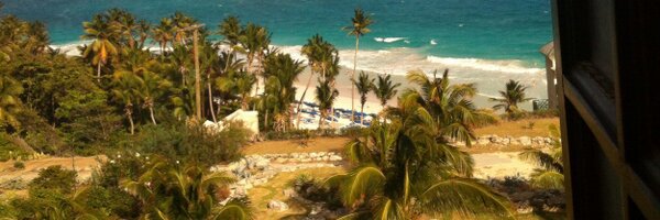 lucindajarrett Profile Banner