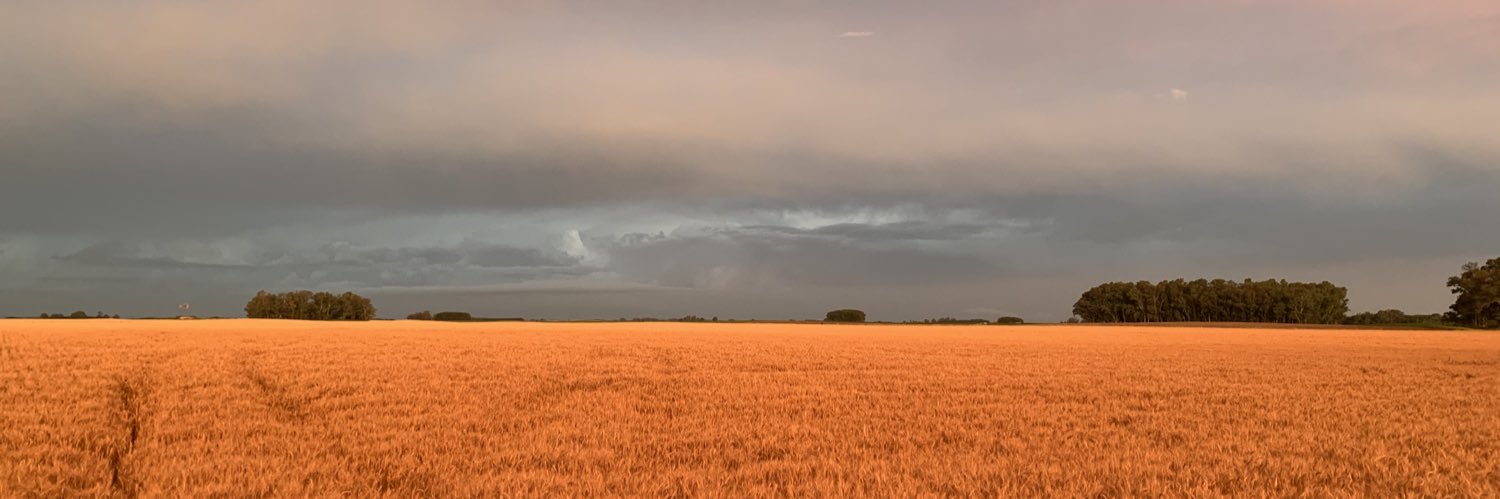 JB_Gougy's profile banner image