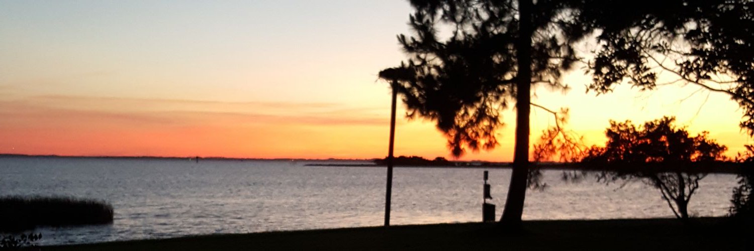 lynfaight's profile banner image