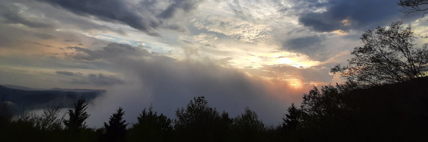 mayerherskowitz's profile banner image