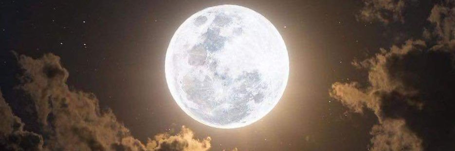 vf_4xa's profile banner image