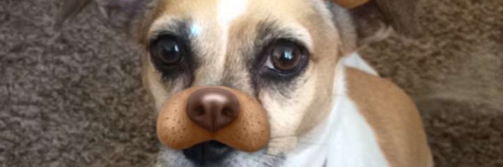 Juleseeemot0's profile banner image