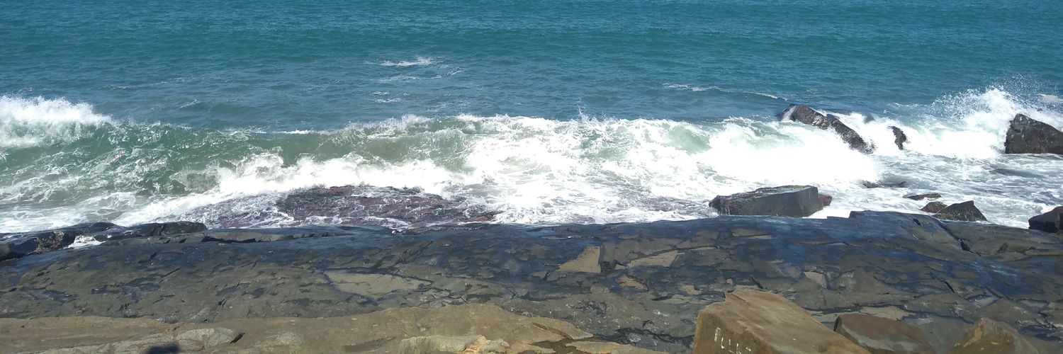 maluli_'s profile banner image