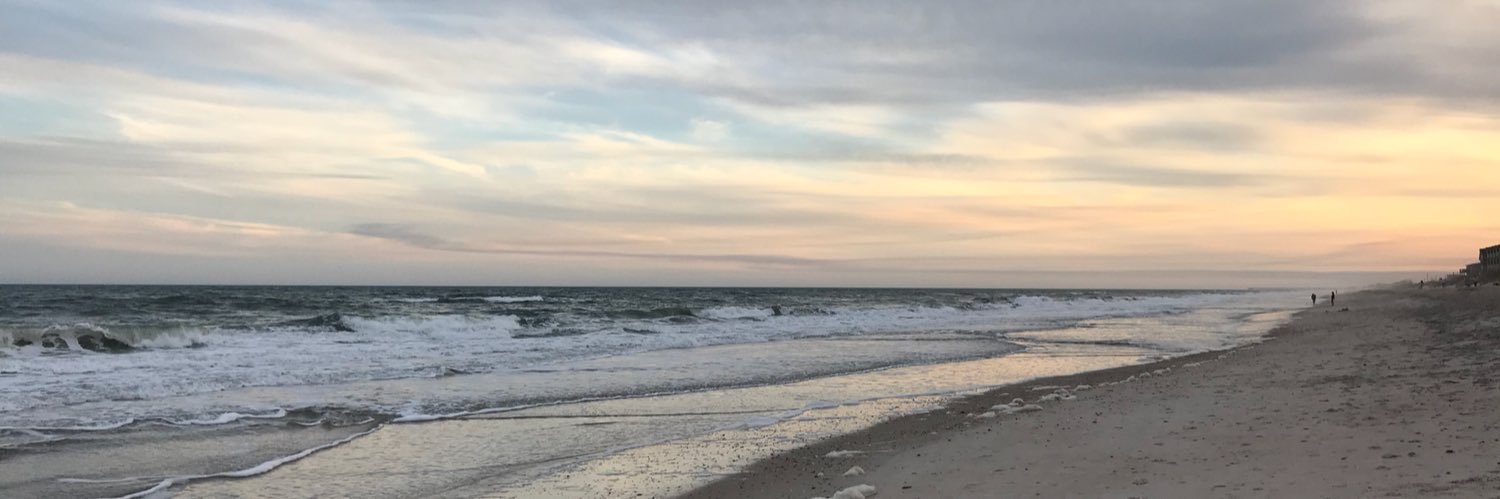 MrsPicilloRHS's profile banner image