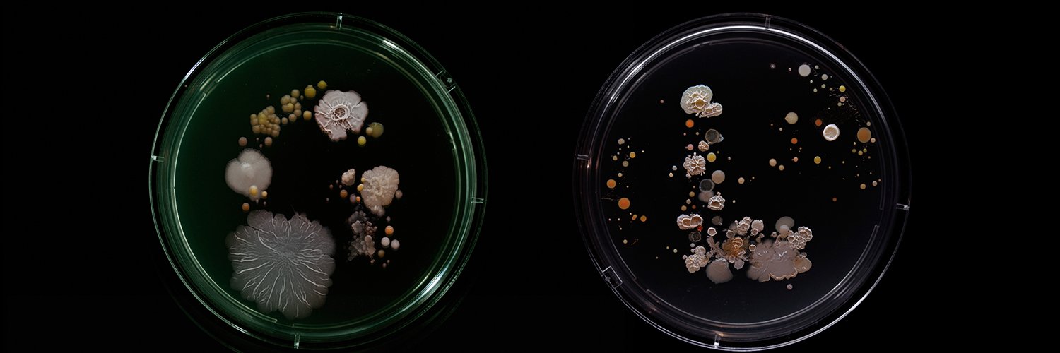 Scott Quainoo banner