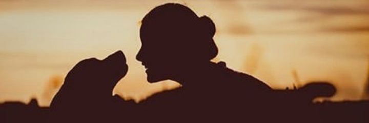 simone_snow's profile banner image