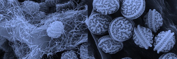 microbiome_dave's profile banner image