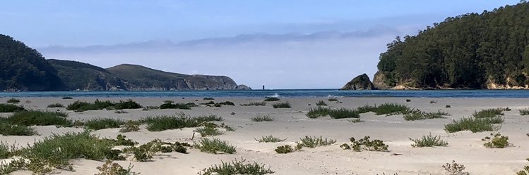 Estrella López-Pardo banner