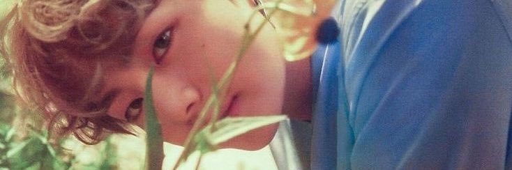 lia • wonwoo’s wife banner