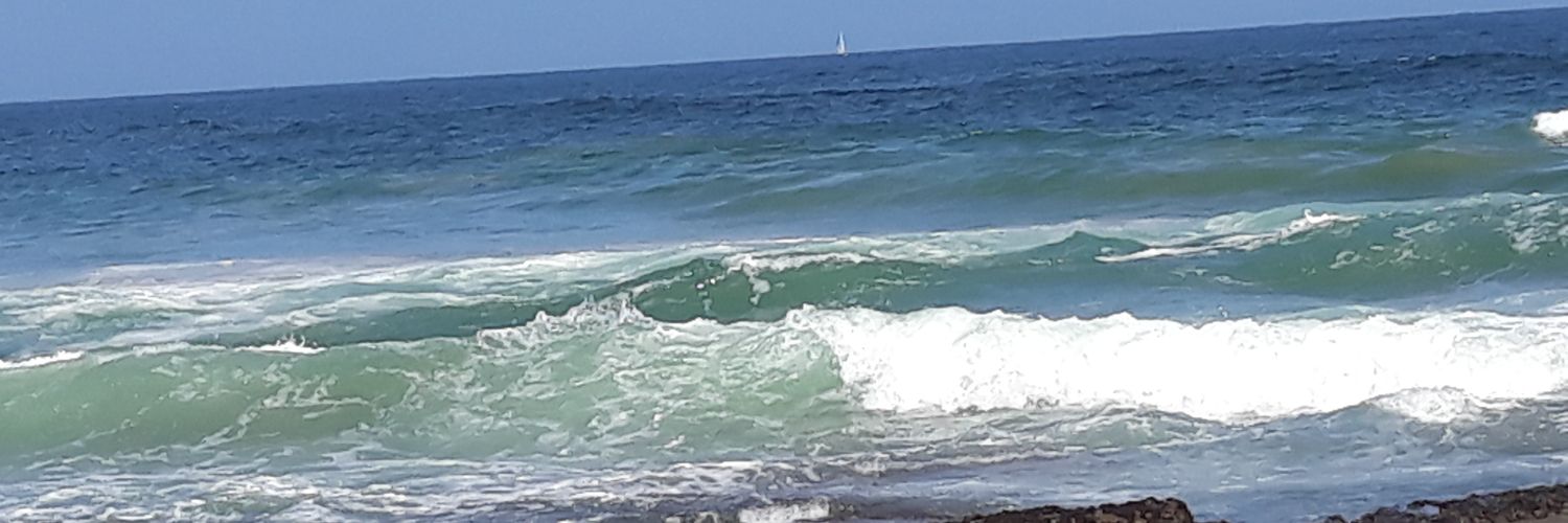 sandasoci's profile banner image