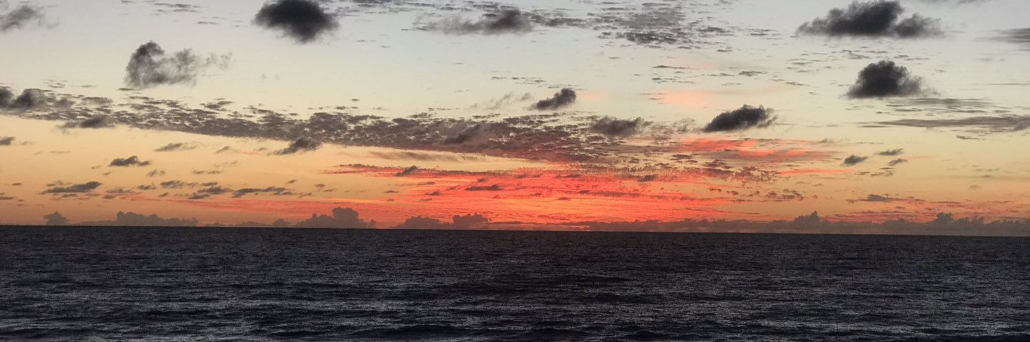 albmillr8's profile banner image