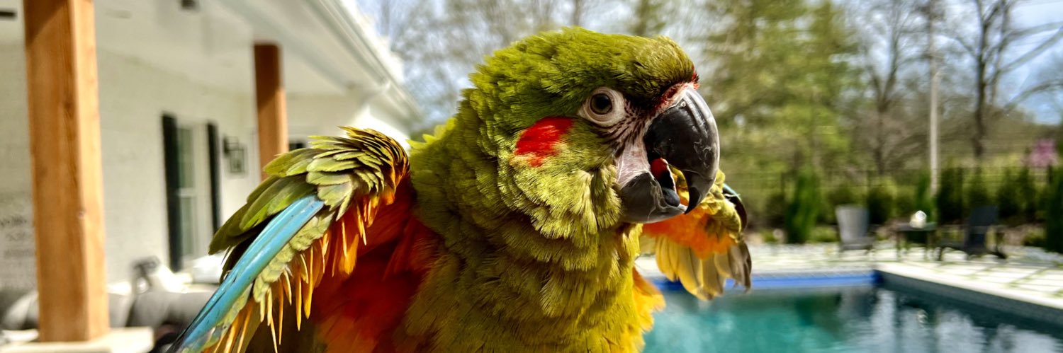 Jay Steinback banner