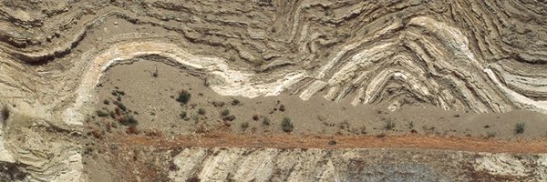 sfsuntree1 Profile Banner