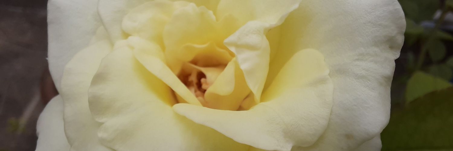 Semanti Sengupta Mukherjee banner