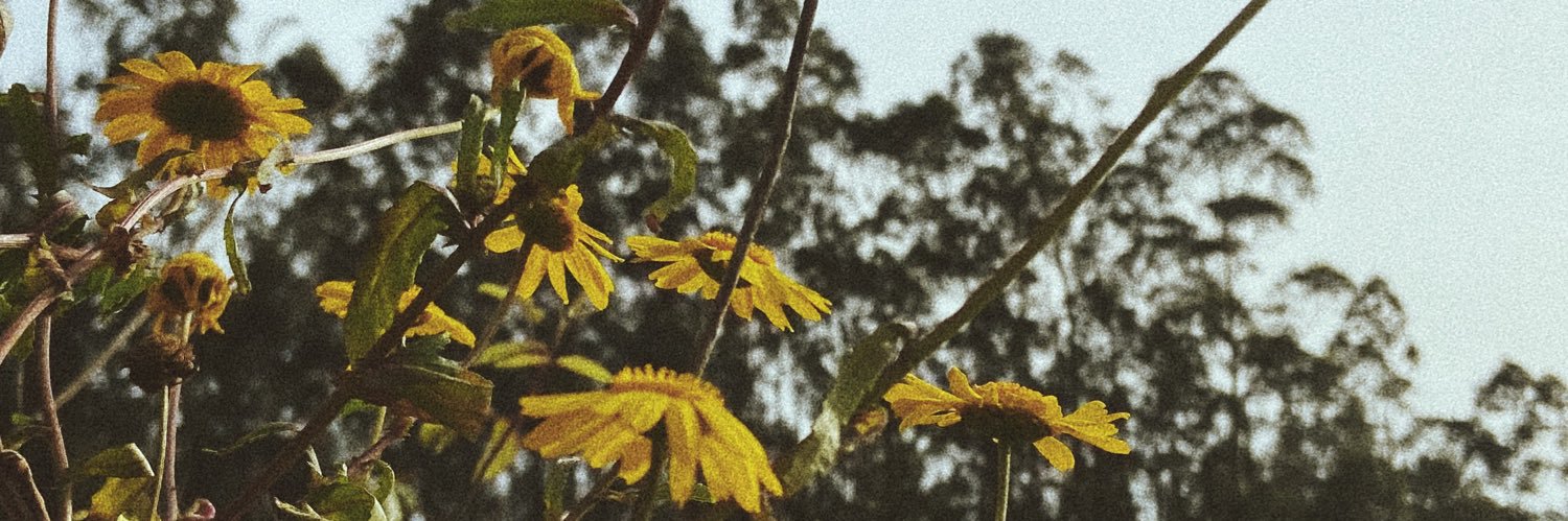 nobutthere's profile banner image