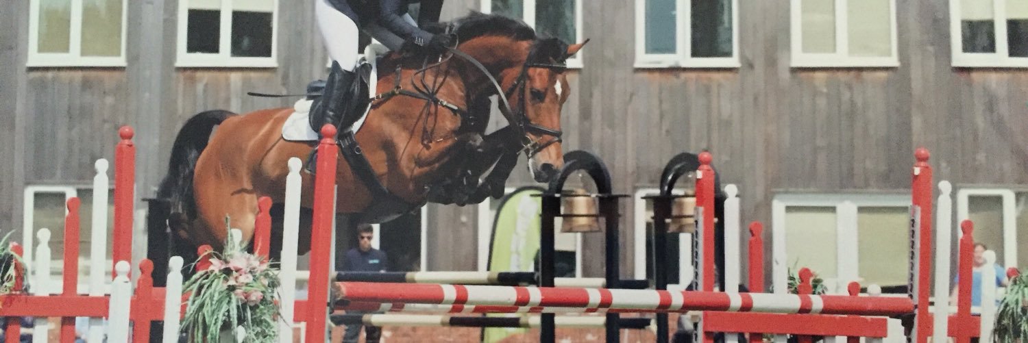 Katie Pytches banner