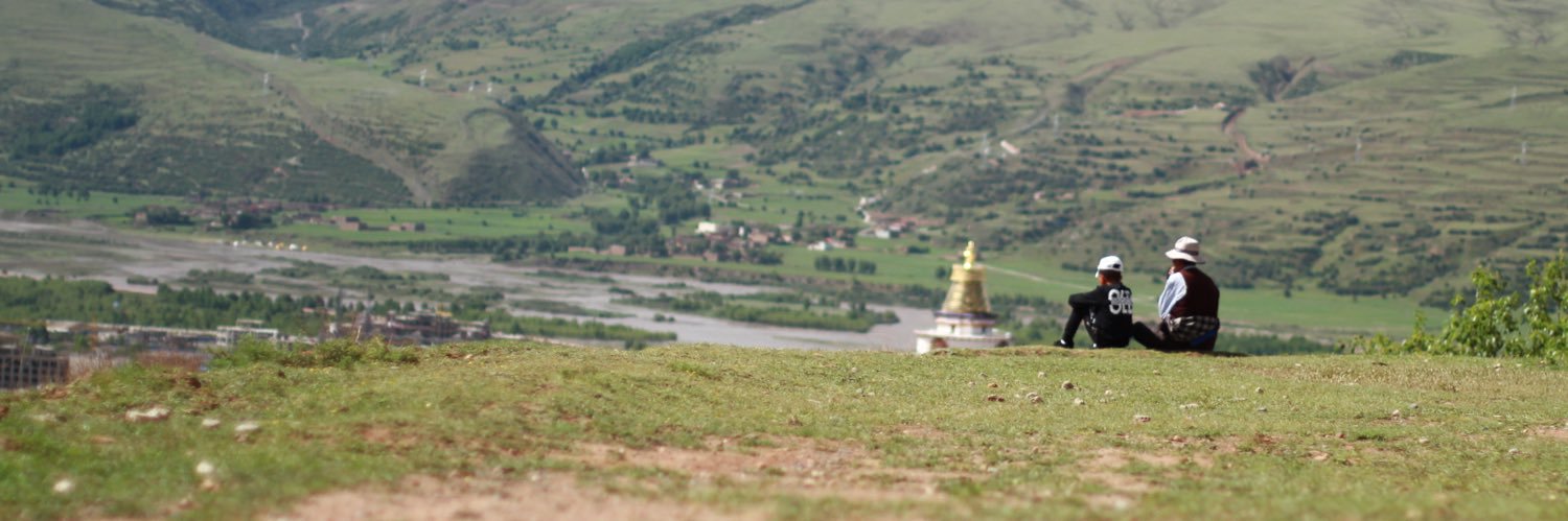 摆烂的绿毛球 banner