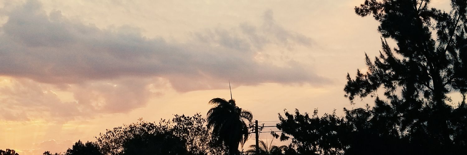 Gustavo Júnio banner