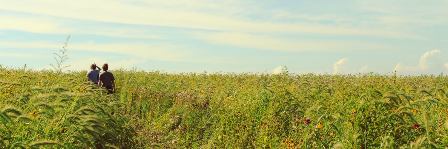 bailshanson's profile banner image