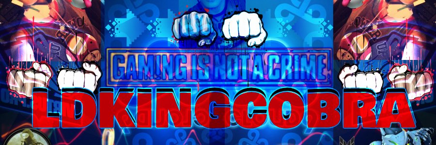 LDKINGCOBRA's profile banner image