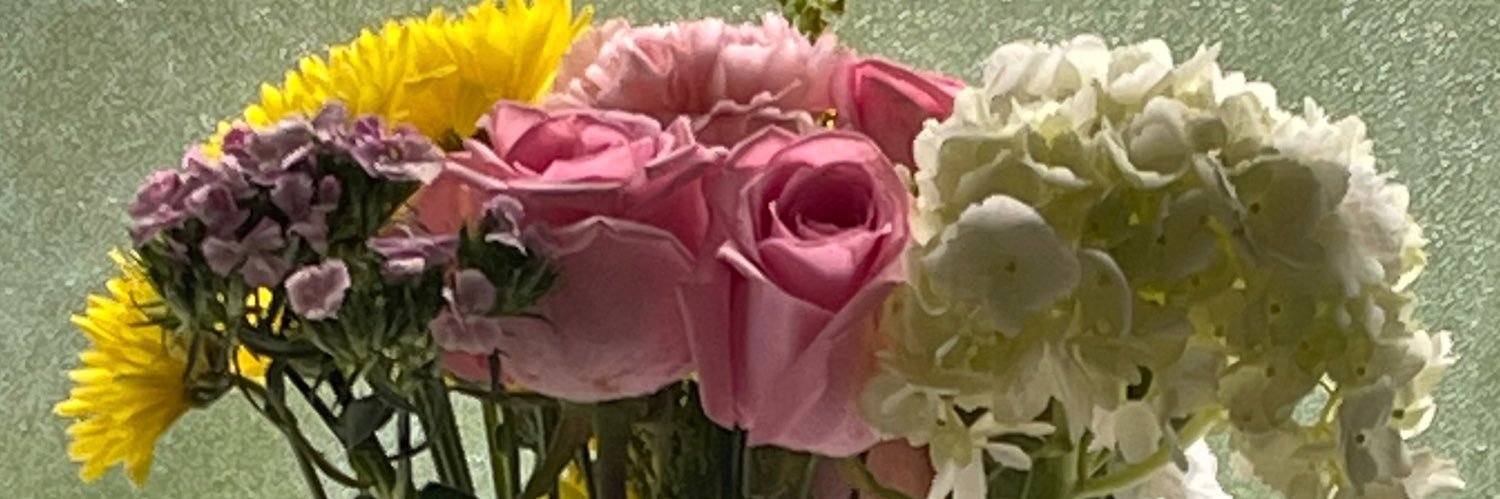 AlisonFertitta's profile banner image