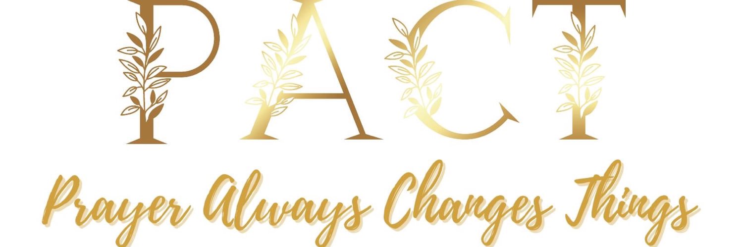 PACTfashion's profile banner image