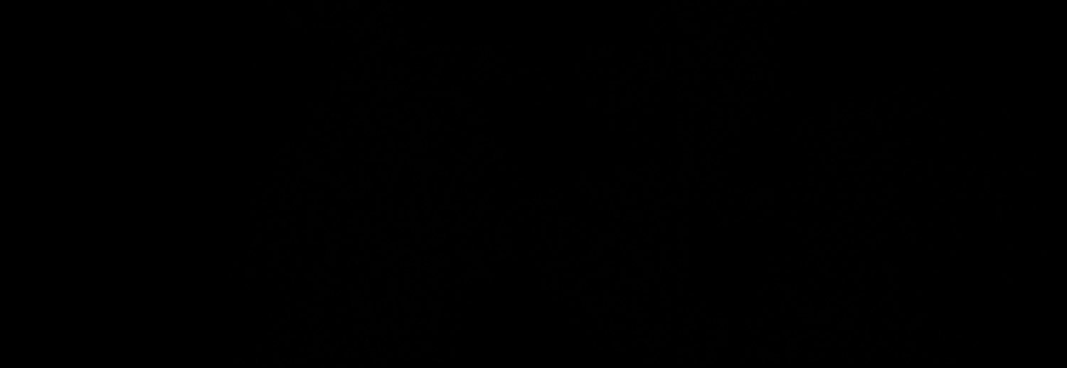 staffordtheACE's profile banner image