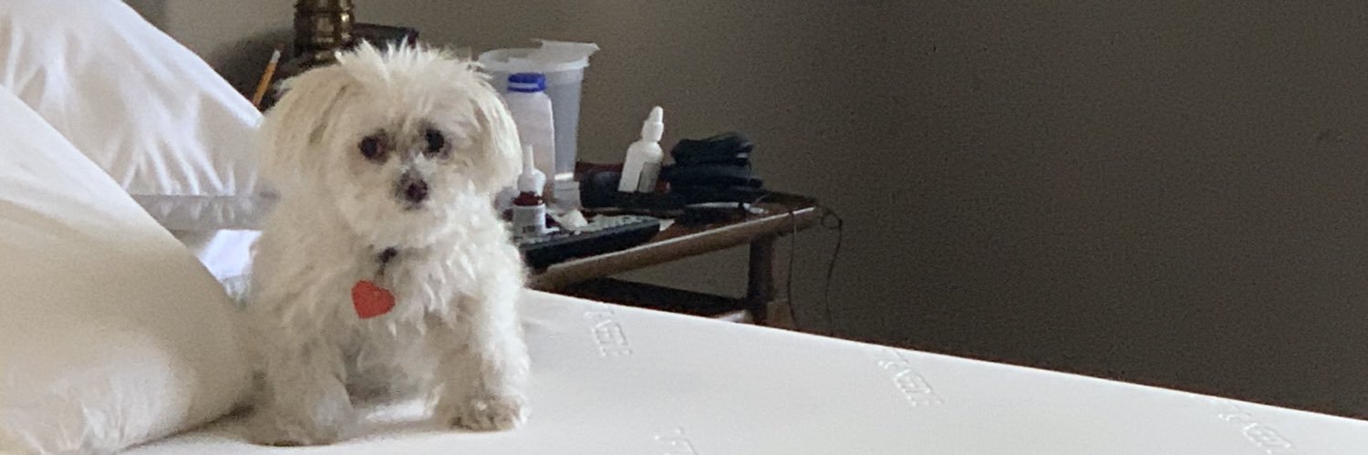 BarryBurton7's profile banner image