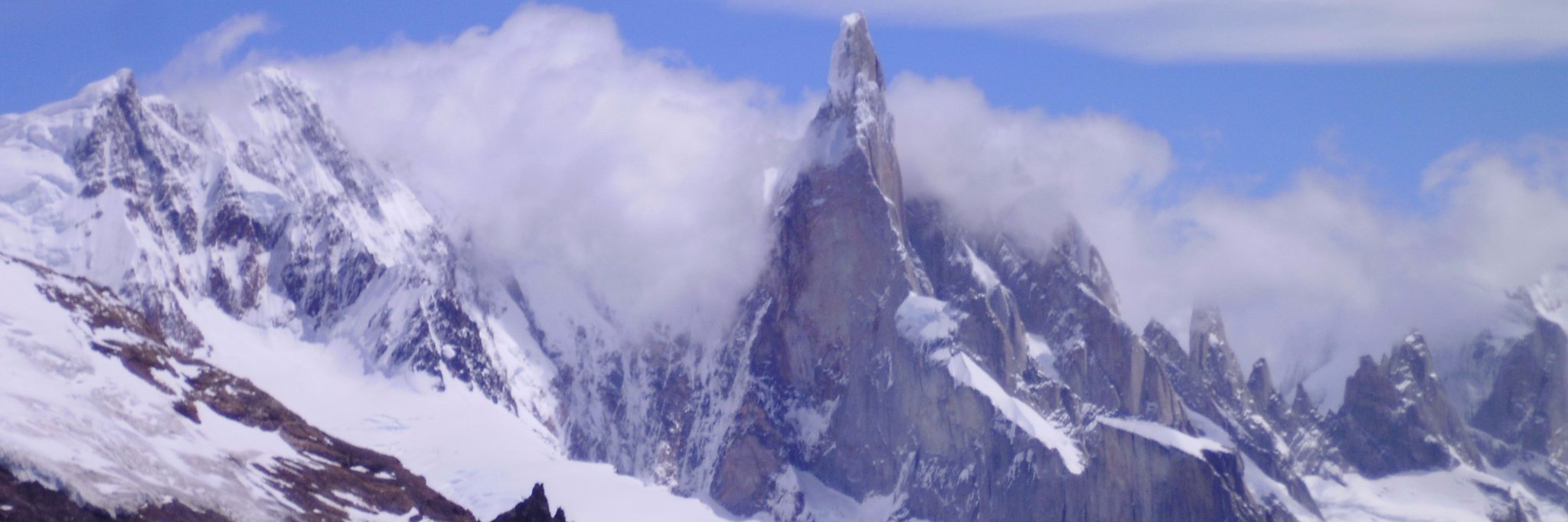 Norma Estela banner
