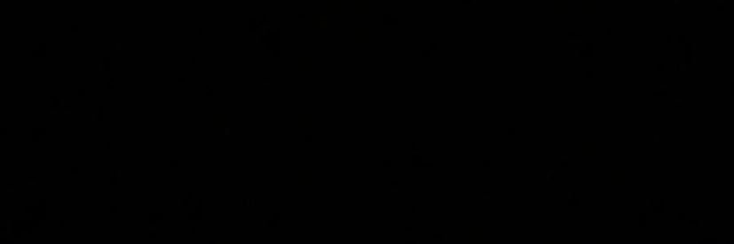 Meech banner