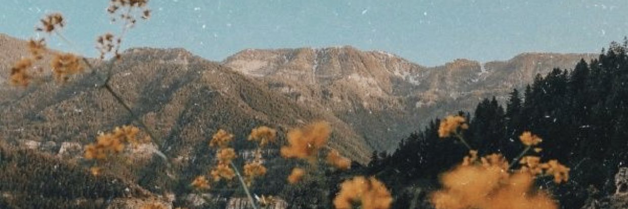 swimslowmellow's profile banner image