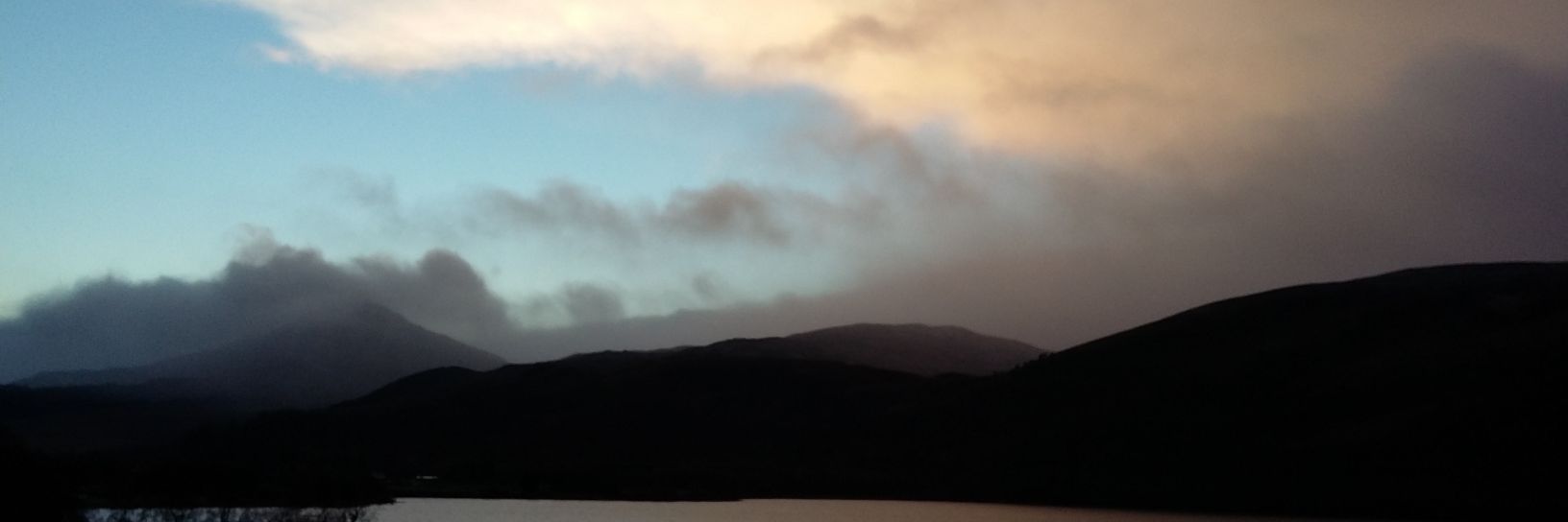 Hellen Riebold banner