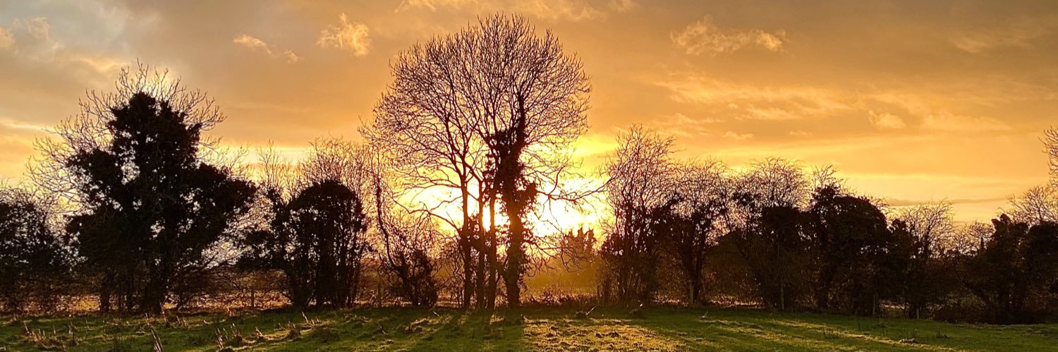 Fine Art Professional banner
