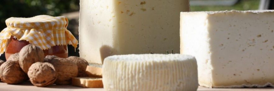 FormatgesLluca banner