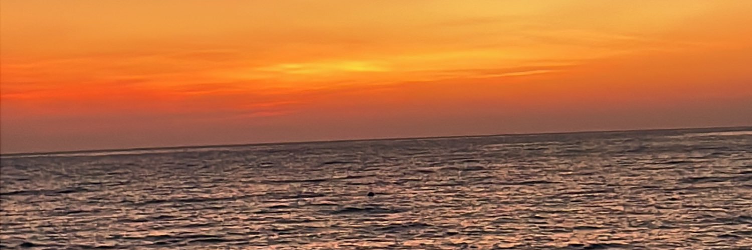 cessypecenio's profile banner image