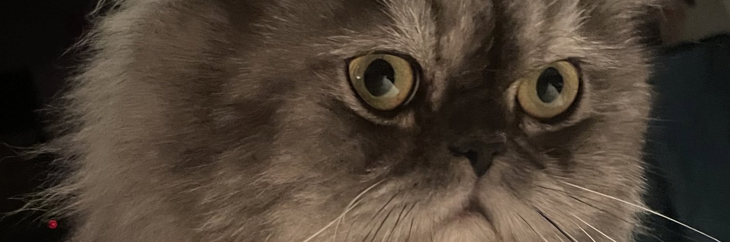 DurandGiulia's profile banner image