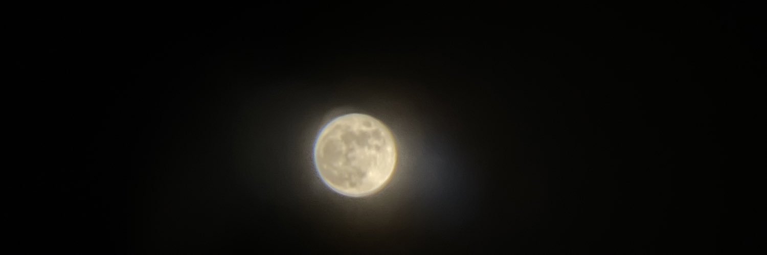 Randitolee's profile banner image