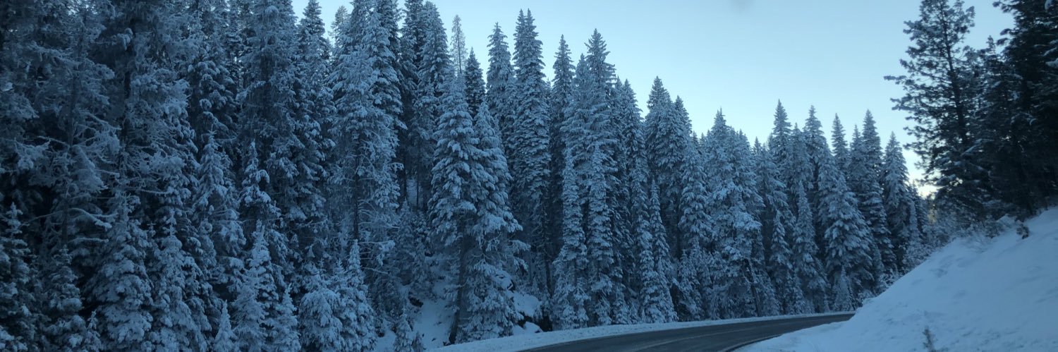JackieGeni's profile banner image